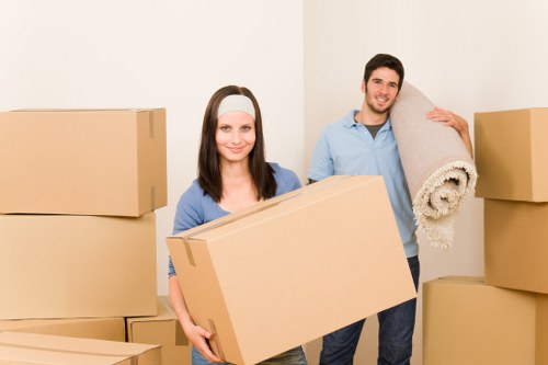 Professional movers loading boxes and furniture for a Croydon relocation